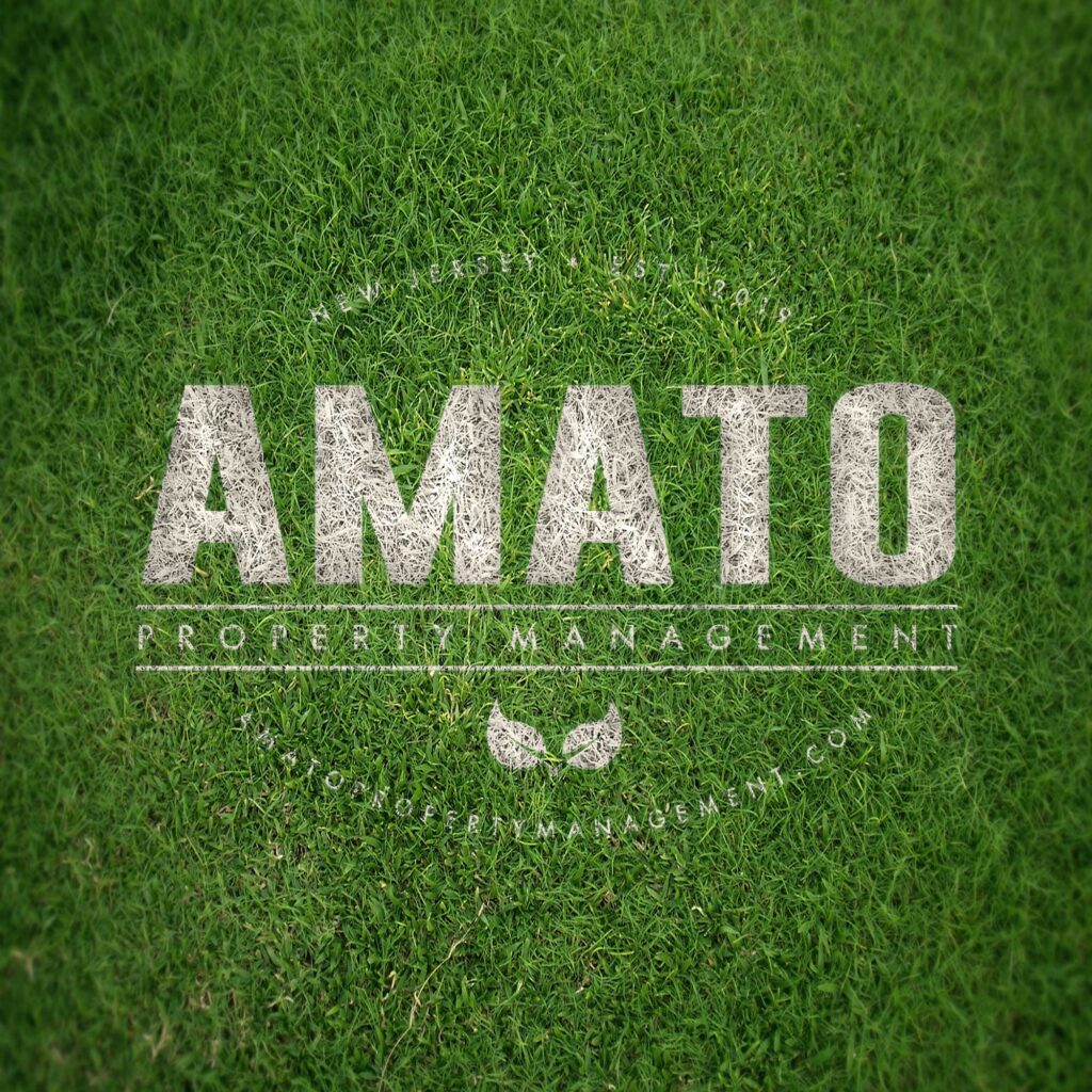 Amato - M. Scott Media